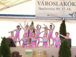 vlnapja2011008