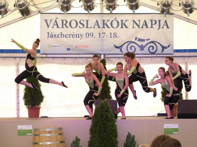 vlnapja2011012