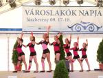 vlnapja2011017