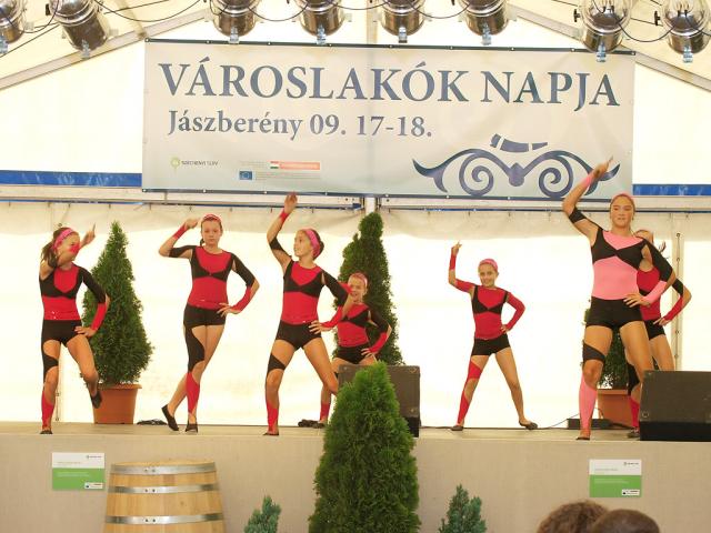 vlnapja2011018