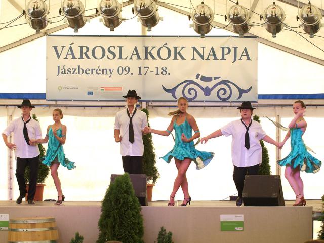 vlnapja2011052