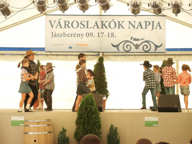 vlnapja2011063