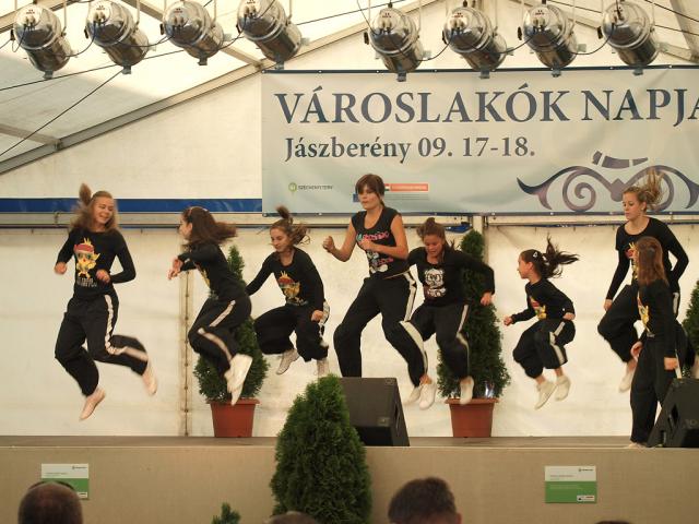 vlnapja2011138