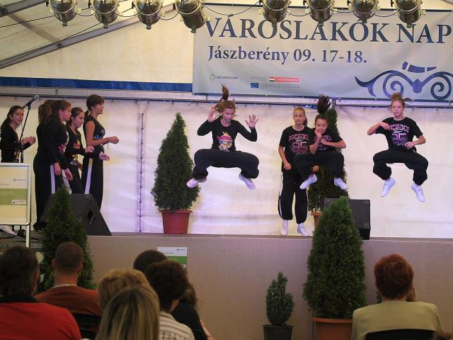 vlnapja2011142