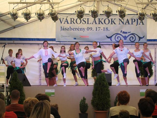 vlnapja2011173