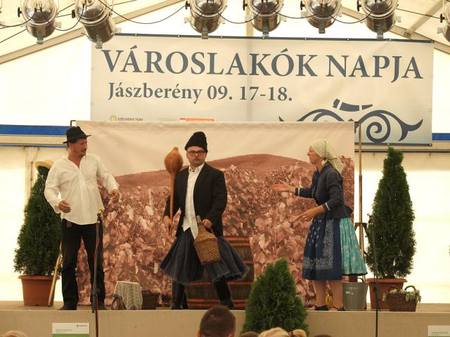 vlnapja2011181