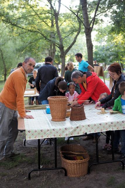 zpfszom2018081