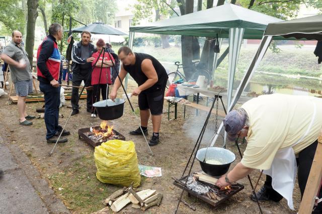 zpfvas2017053