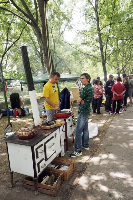 zpfvas2017085