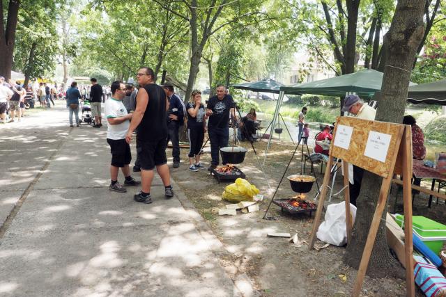 zpfvas2017087