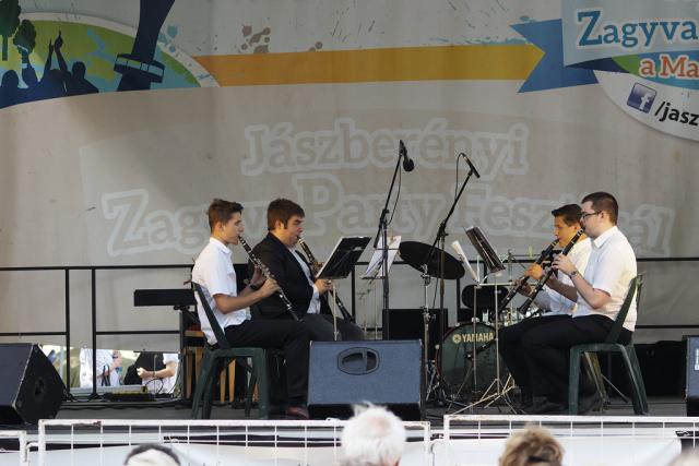 zpfvas2017104