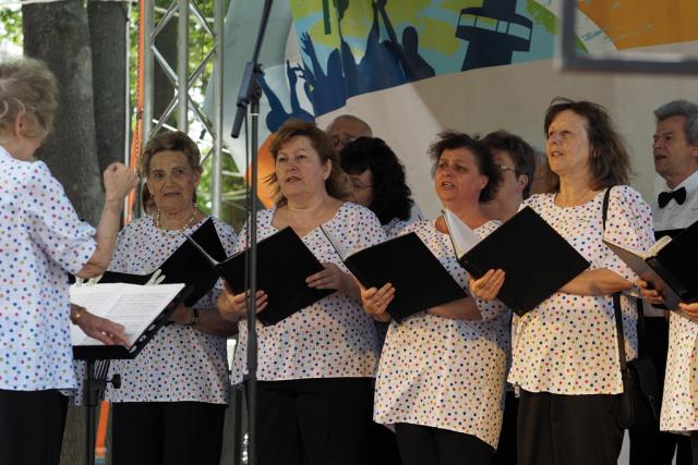 zpfvas2017109